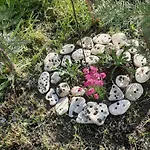Bayview Family Garden A1 Daire *