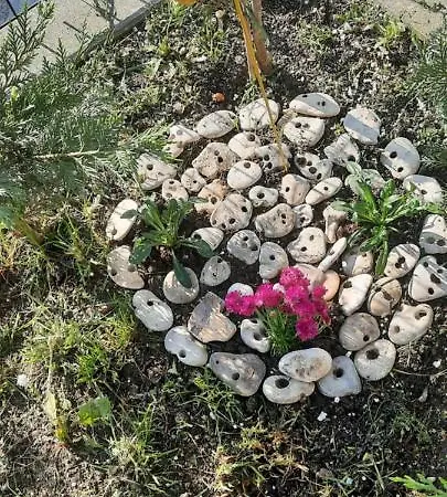 Appartement Bayview Family Garden A1 Burgas