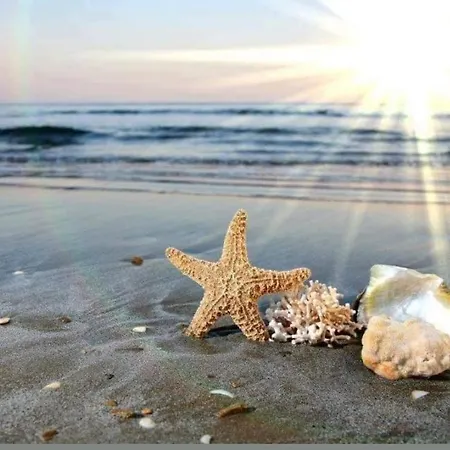 Apartament Bayview Family Garden A1